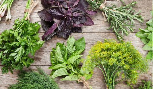 Power of Thai Herbs