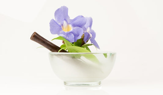 Rang Juet - The Herb for Body Detox