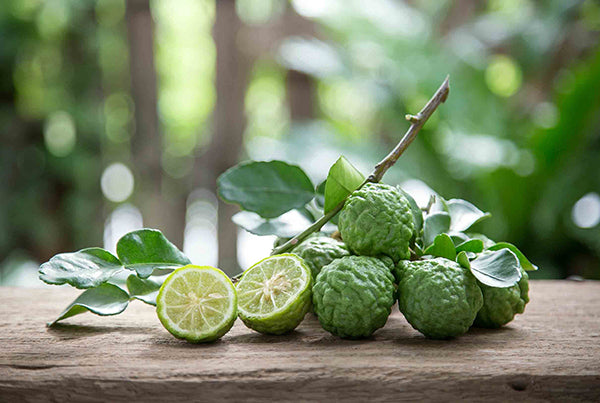 Kaffir Lime and Leaves