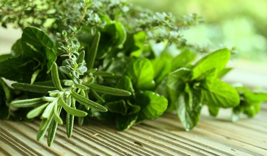 Thai Herbs You Should Be Eating