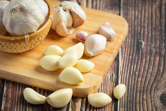 Garlic Supplement Extract Benefits: The Key to a Healthier You