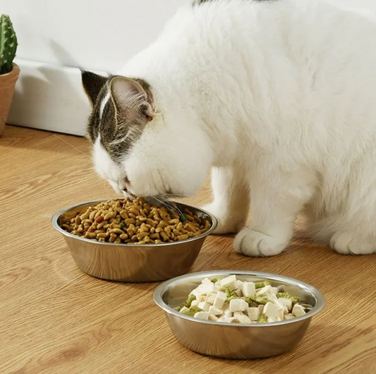 Stainless steel bowl for cats and dogs