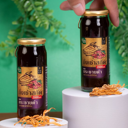 Cordyceps Extract Drink with Black Ginger and Oyster Extract (120ml) - 1 Pack – 6 Bottles