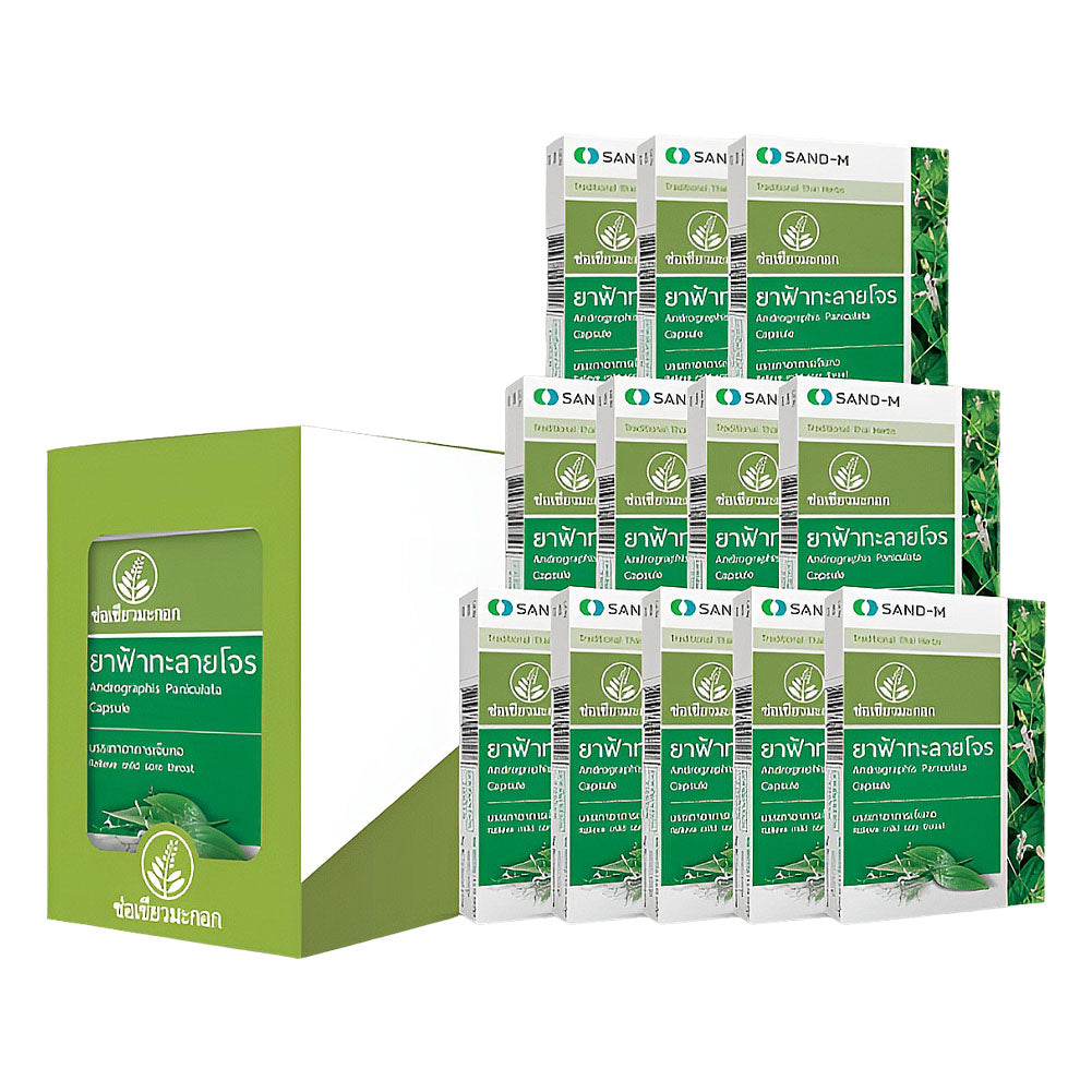 Andrographis Paniculata Capsule 400mg Box Set 120 capsules | Relieve mild sore throat