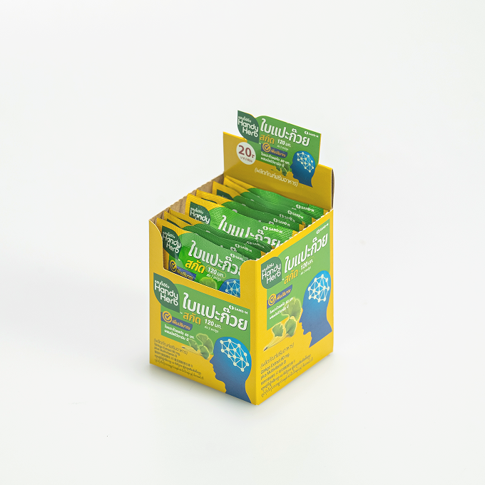 Ginkgo Biloba Leaf Extract 120mg plus Multivitamin B Capsule Box Set (24 Pack - 48 capsule)