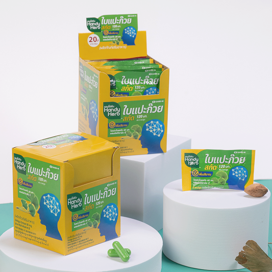 Ginkgo Biloba Leaf Extract 120mg plus Multivitamin B Capsule Box Set (24 Pack - 48 capsule)
