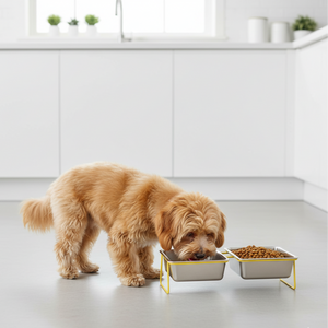 Stainless steel double bowl for cats and dogs on a stand