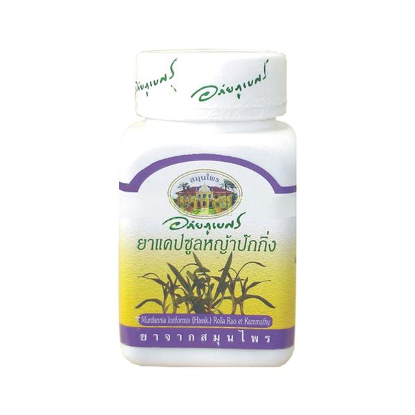 Angel Grass (Ya Pak King) Capsule | Improve immune system (70 capsules)